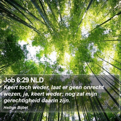 Job 6:29 NLD Bible Verse Image