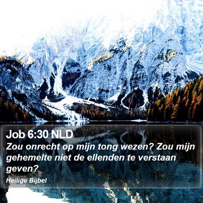 Job 6:30 NLD Bible Verse Image