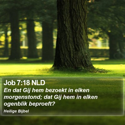 Job 7:18 NLD Bible Verse Image