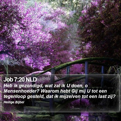 Job 7:20 NLD Bible Verse Image