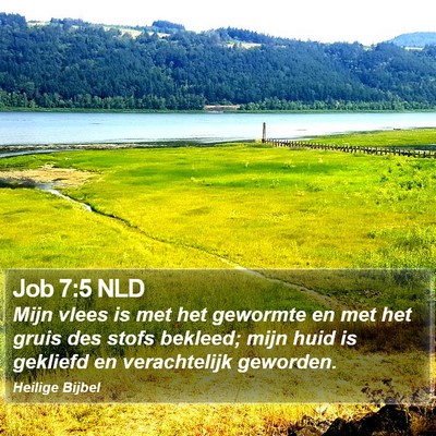 Job 7:5 NLD Bible Verse Image