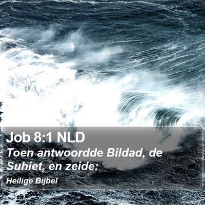 Job 8:1 NLD Bible Verse Image
