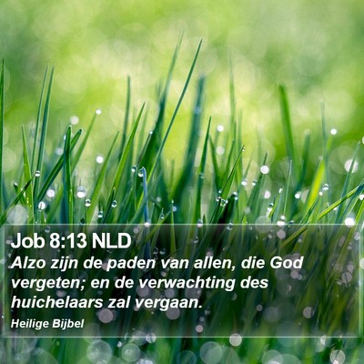Job 8:13 NLD Bible Verse Image