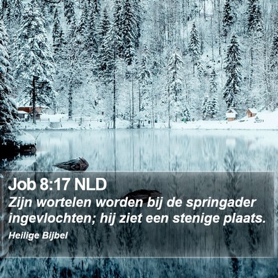 Job 8:17 NLD Bible Verse Image