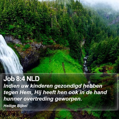 Job 8:4 NLD Bible Verse Image
