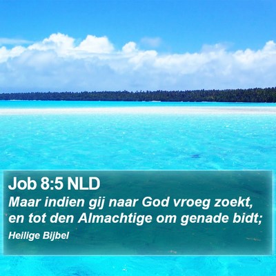 Job 8:5 NLD Bible Verse Image