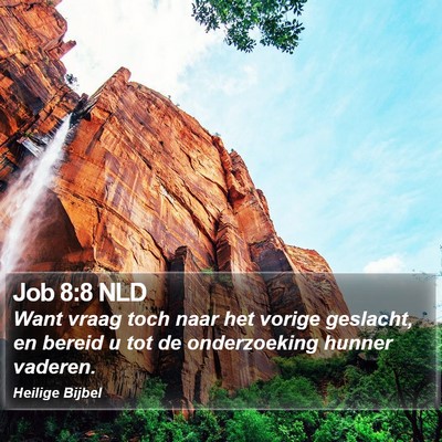 Job 8:8 NLD Bible Verse Image