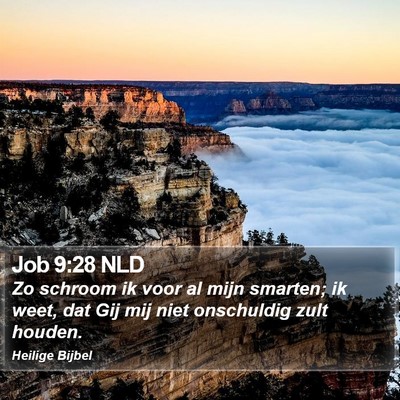 Job 9:28 NLD Bible Verse Image