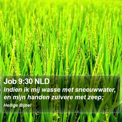 Job 9:30 NLD Bible Verse Image