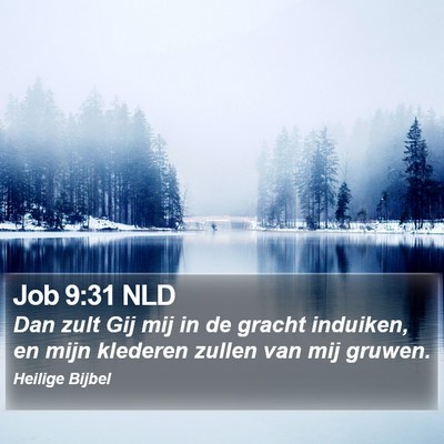 Job 9:31 NLD Bible Verse Image