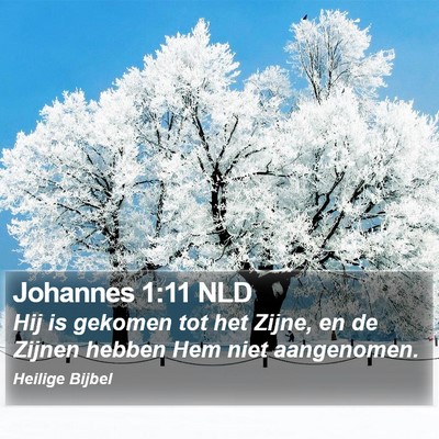 Johannes 1:11 NLD Bible Verse Image