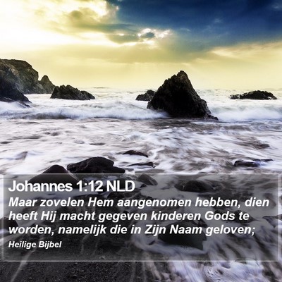 Johannes 1:12 NLD Bible Verse Image