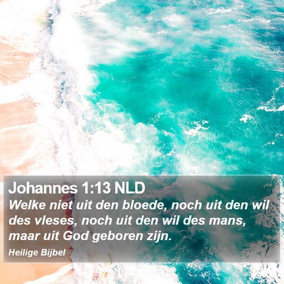 Johannes 1:13 NLD Bible Verse Image