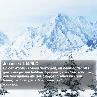 Johannes 1:14 NLD Bible Verse Image