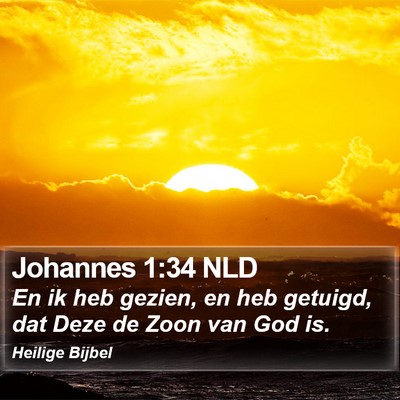 Johannes 1:34 NLD Bible Verse Image