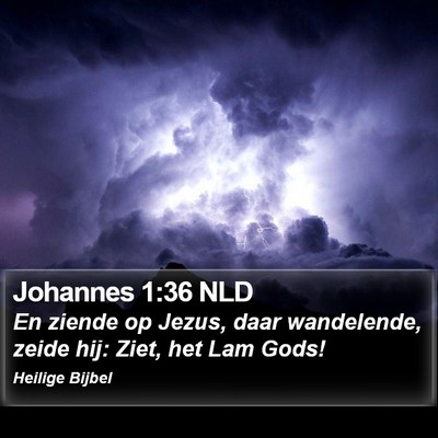 Johannes 1:36 NLD Bible Verse Image