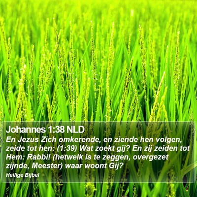 Johannes 1:38 NLD Bible Verse Image
