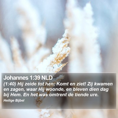 Johannes 1:39 NLD Bible Verse Image