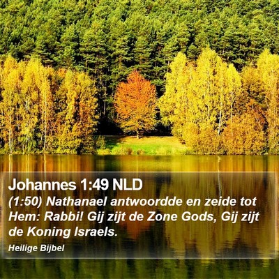 Johannes 1:49 NLD Bible Verse Image
