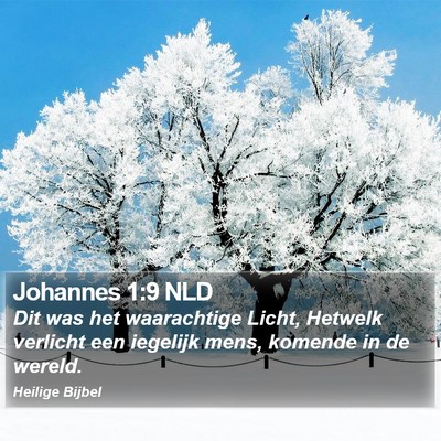 Johannes 1:9 NLD Bible Verse Image