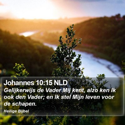 Johannes 10:15 NLD Bible Verse Image