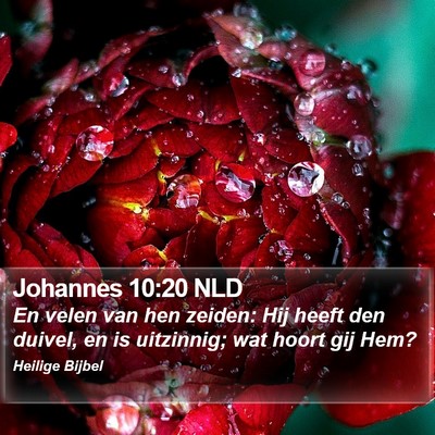 Johannes 10:20 NLD Bible Verse Image