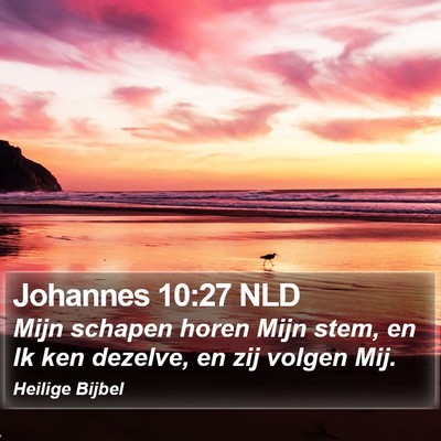 Johannes 10:27 NLD Bible Verse Image