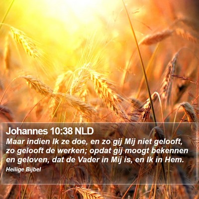 Johannes 10:38 NLD Bible Verse Image