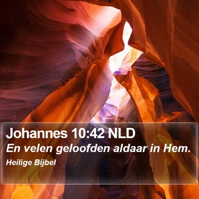 Johannes 10:42 NLD Bible Verse Image