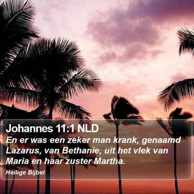 Johannes 11:1 NLD Bible Verse Image