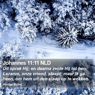 Johannes 11:11 NLD Bible Verse Image