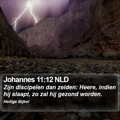 Johannes 11:12 NLD Bible Verse Image
