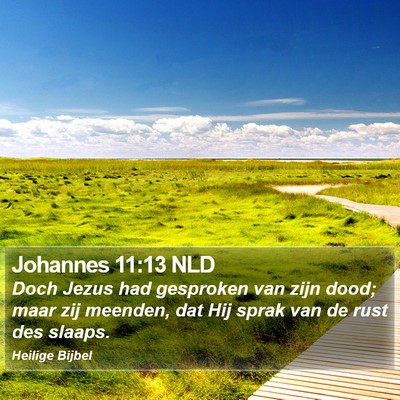 Johannes 11:13 NLD Bible Verse Image