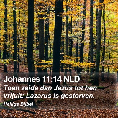 Johannes 11:14 NLD Bible Verse Image