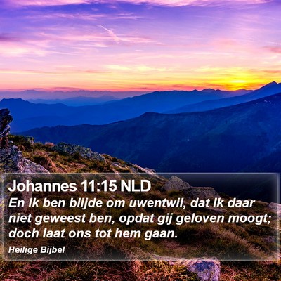 Johannes 11:15 NLD Bible Verse Image