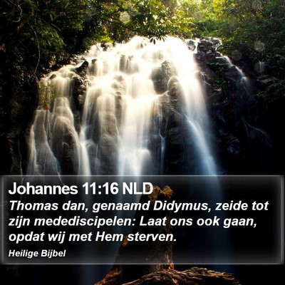 Johannes 11:16 NLD Bible Verse Image