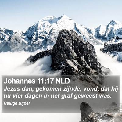 Johannes 11:17 NLD Bible Verse Image