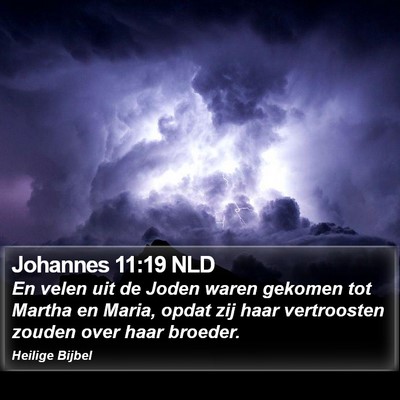 Johannes 11:19 NLD Bible Verse Image