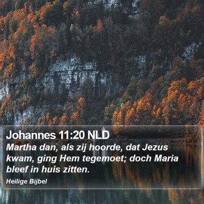 Johannes 11:20 NLD Bible Verse Image