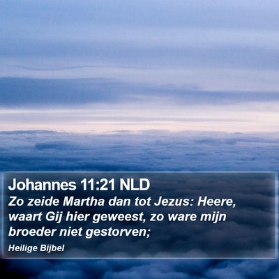 Johannes 11:21 NLD Bible Verse Image