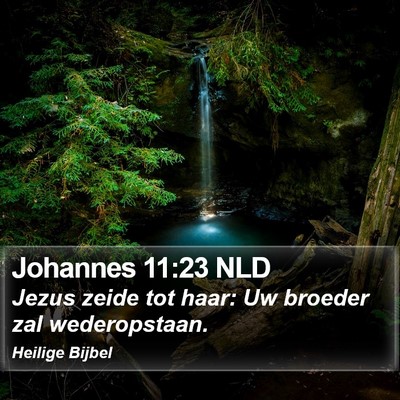 Johannes 11:23 NLD Bible Verse Image