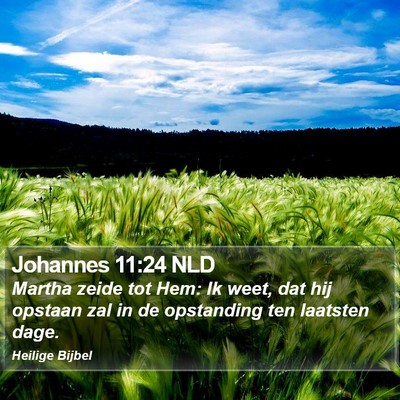 Johannes 11:24 NLD Bible Verse Image