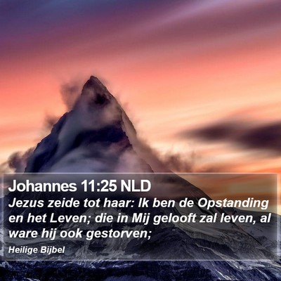 Johannes 11:25 NLD Bible Verse Image