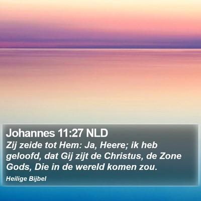 Johannes 11:27 NLD Bible Verse Image