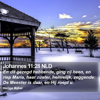 Johannes 11:28 NLD Bible Verse Image