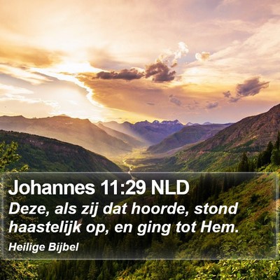 Johannes 11:29 NLD Bible Verse Image