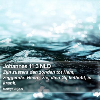 Johannes 11:3 NLD Bible Verse Image