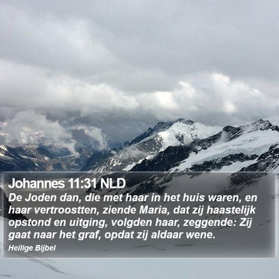 Johannes 11:31 NLD Bible Verse Image