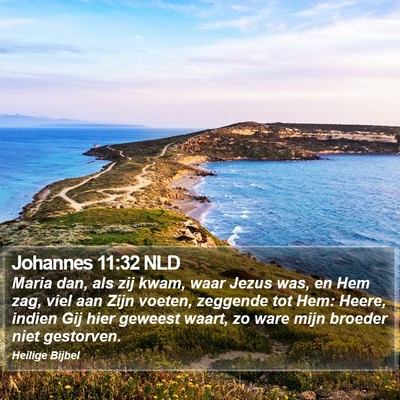Johannes 11:32 NLD Bible Verse Image