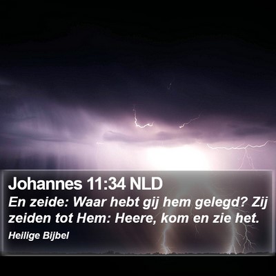 Johannes 11:34 NLD Bible Verse Image